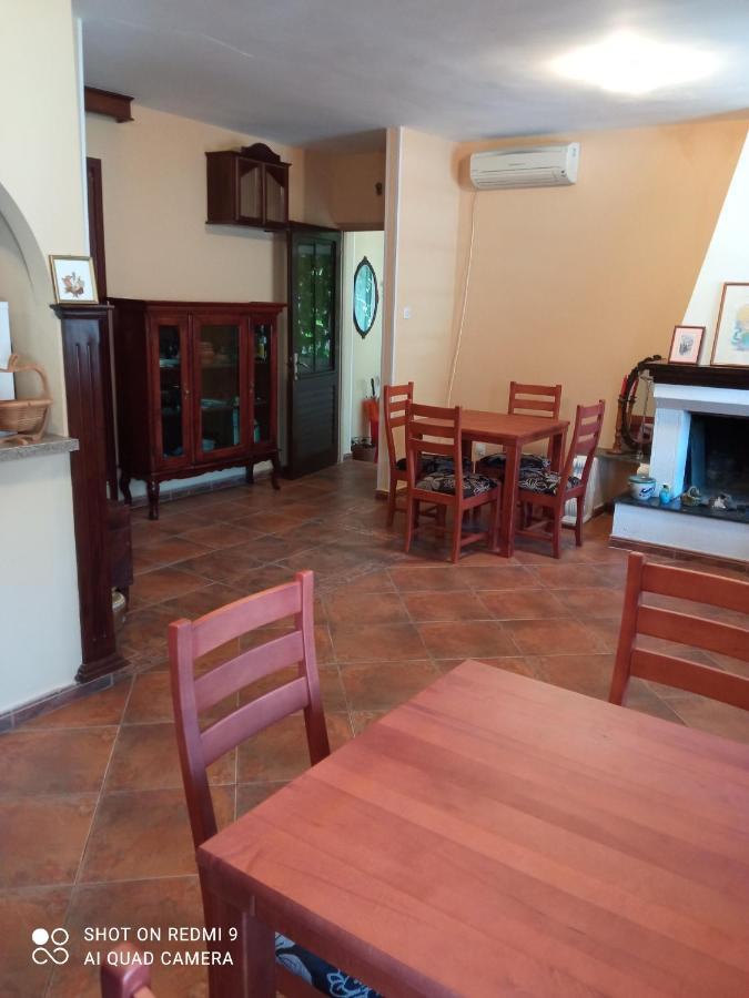 Kotorhostelito Dış mekan fotoğraf