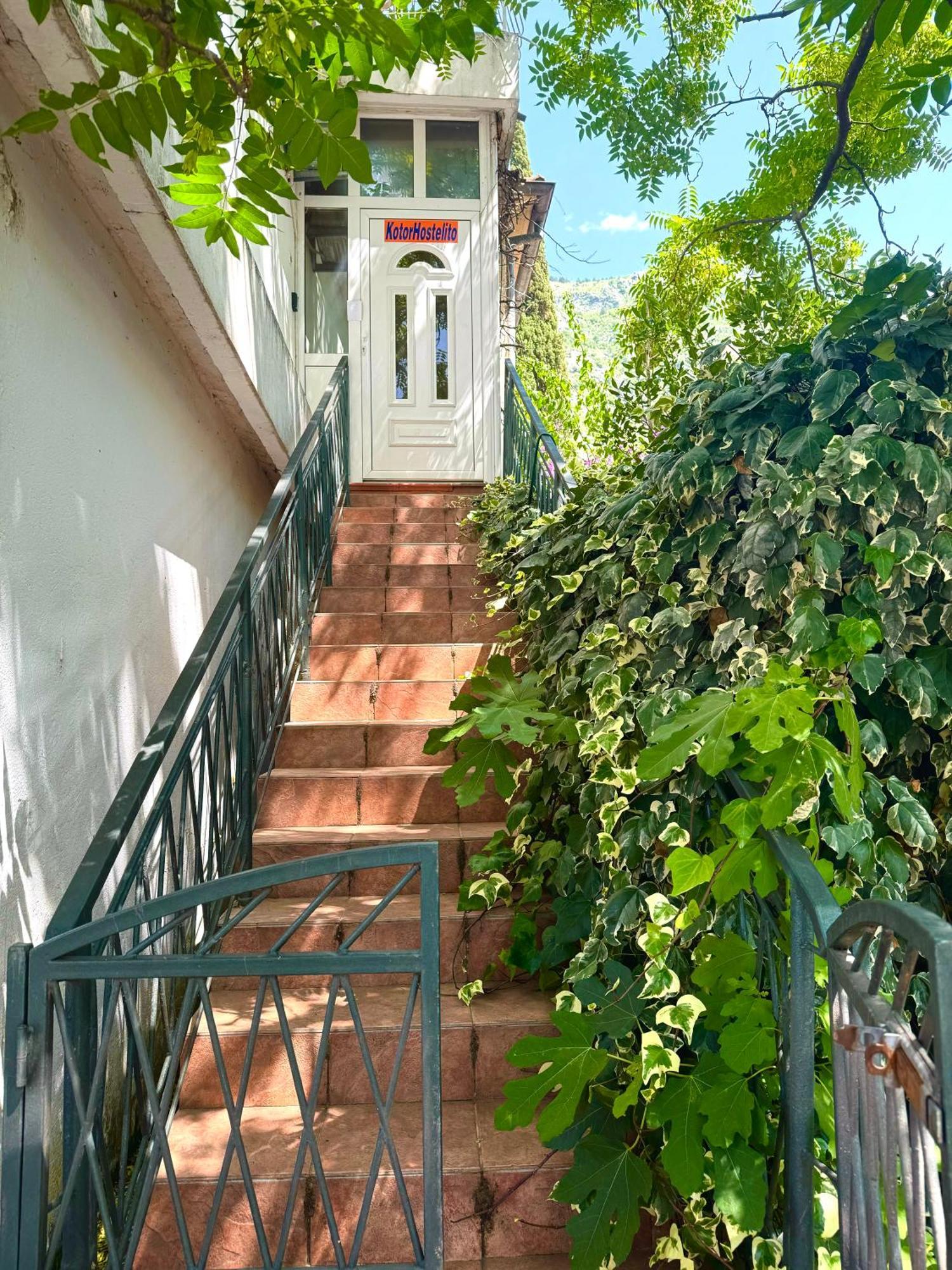 Kotorhostelito Dış mekan fotoğraf